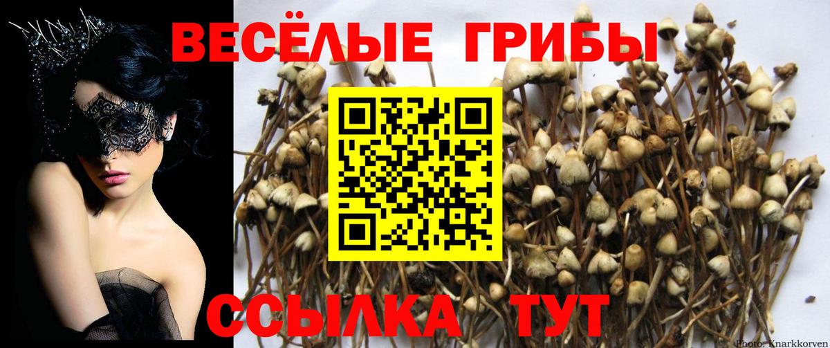 Псилоцибиновые грибы ЛСД  Вход с VPN  Изобильный  Псилоцибиновые грибы прущие грибы 